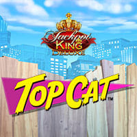 Top Cat in Jackpot King