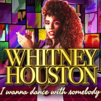 Whitney Houston I Wanna Dance with Somebody in Sub_Justlanded
