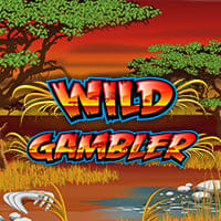Wild Gambler in Retro