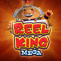 Reel King Mega in pp_ourfav
