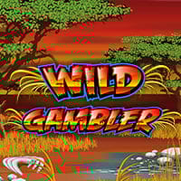 Wild Gambler in Retro